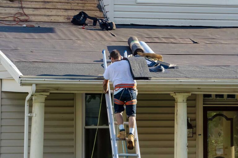 Homeowner inspecting a roof for mold and mildew growth after rain, with visible discolored shingle patches.